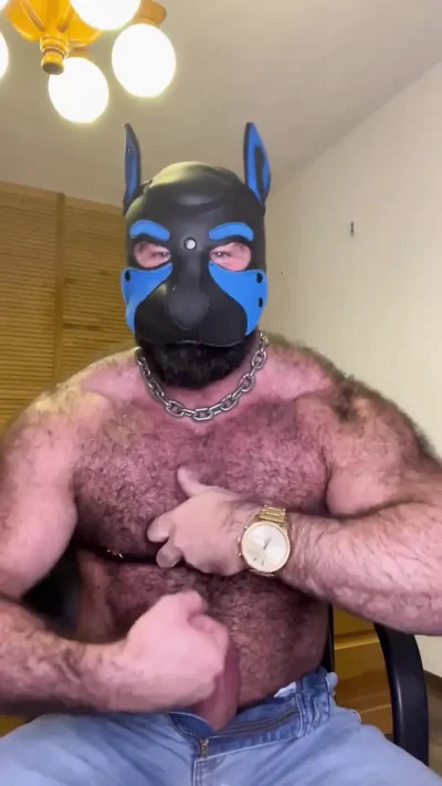 Muscle Gay Bear JOI with Mask, Big Cock, Cock Ring & Cumshot